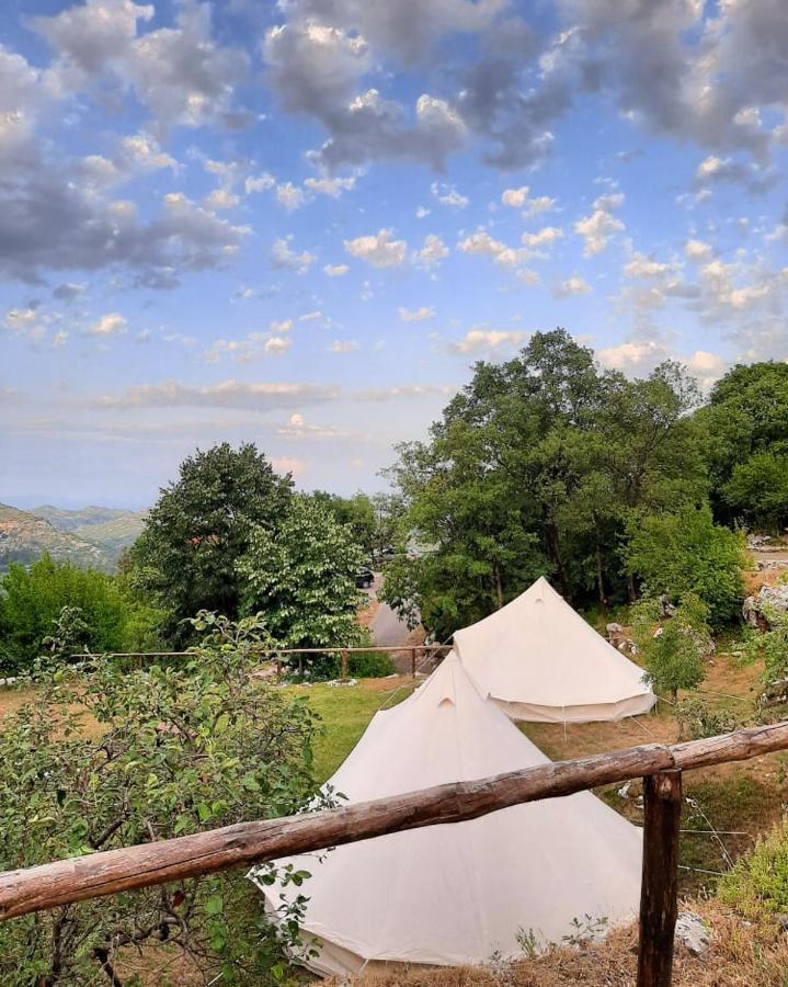 Camp Oaza,Lipa Hotel Cetinje Ngoại thất bức ảnh