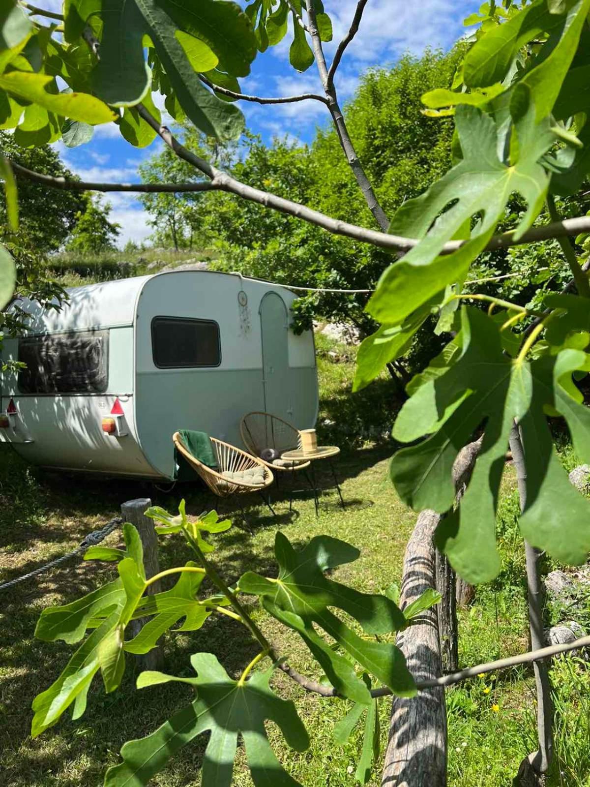 Camp Oaza,Lipa Hotel Cetinje Ngoại thất bức ảnh